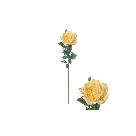 Irsk rose lysegul 66 cm høj