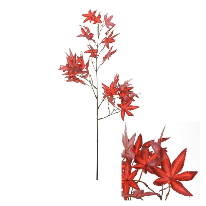 Gren med røde ahornblade