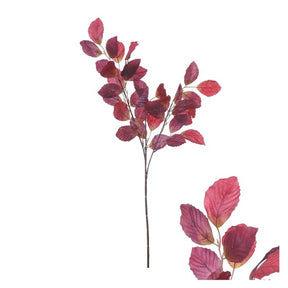 Gren med vinrøde bøgeblade