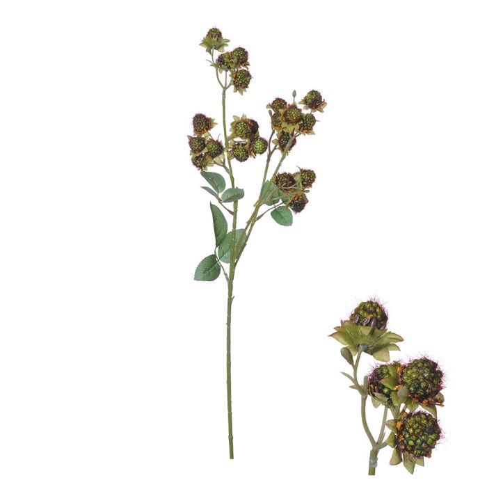 Stilk med grønne vilde jordbær