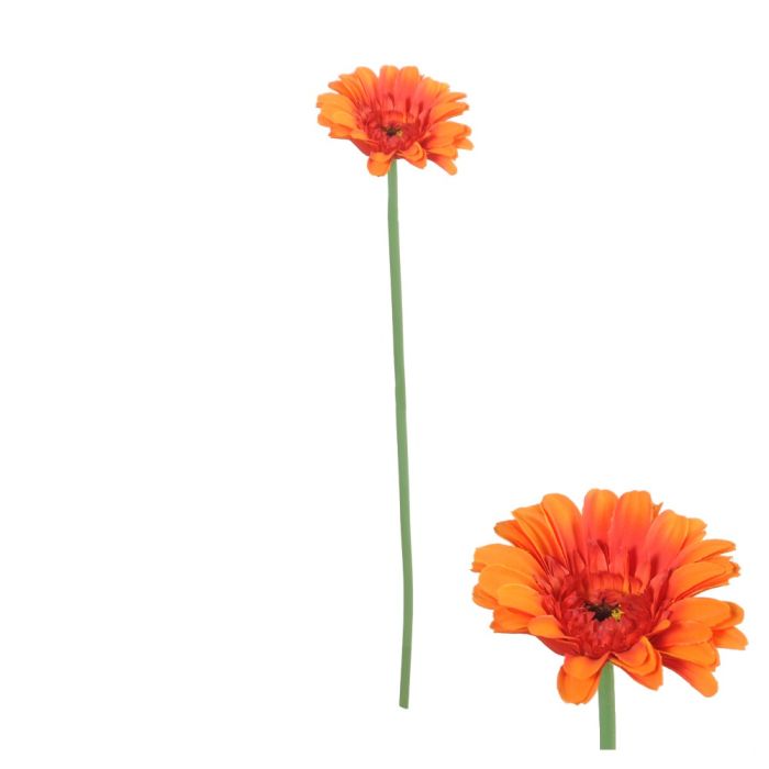 Gerbera flower stem orange 55 cm