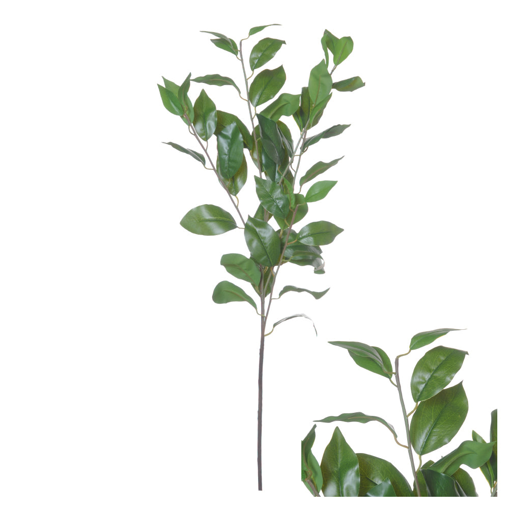 Stilk med grønne blade