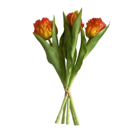 Buket med tulipaner flossede orange 31 cm høje