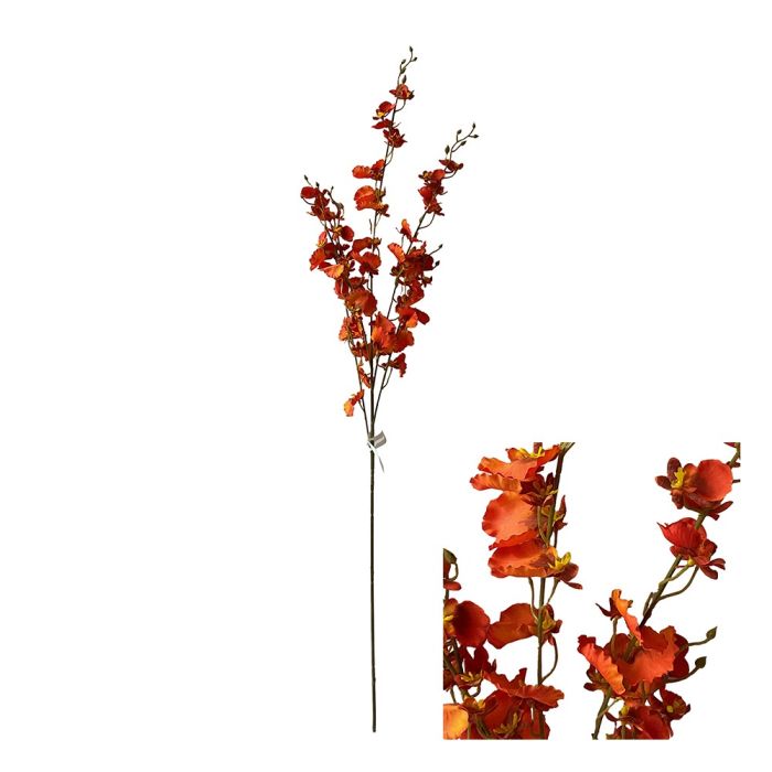 Orchid stem Oncidium orange