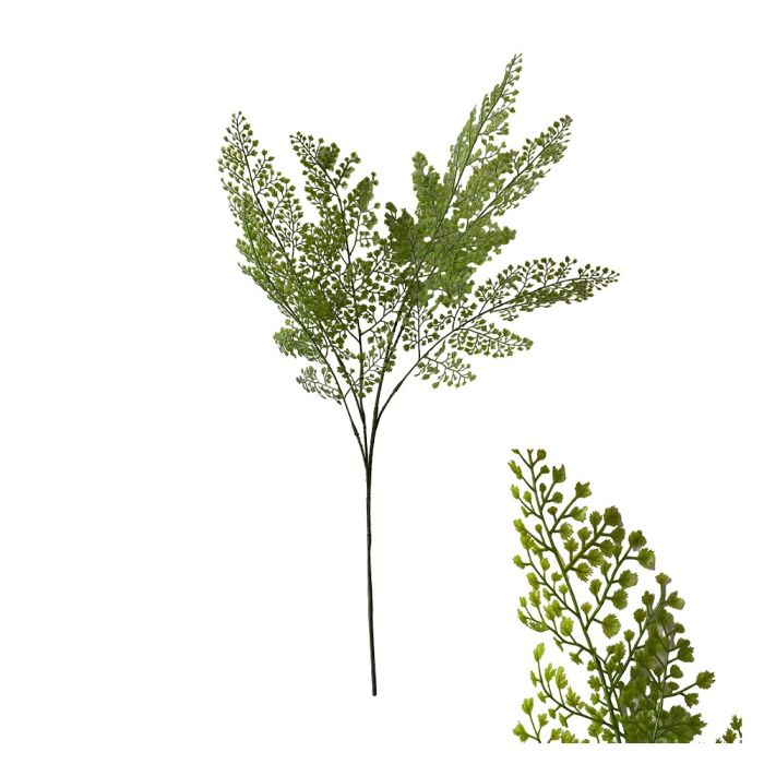 Branch with virgin hair