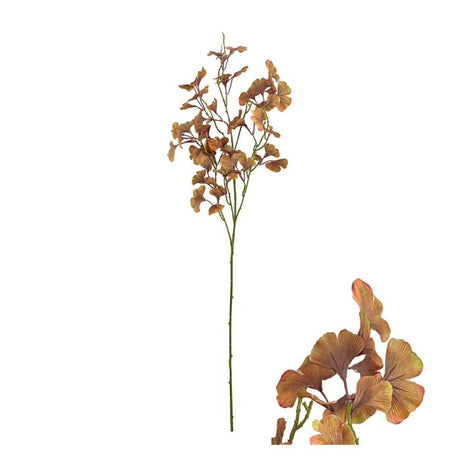 Ginkgo gren brun 105 cm