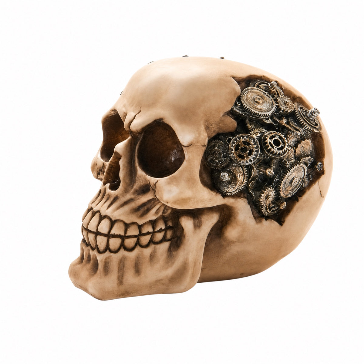 Skull piggy bank