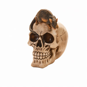 Skull piggy bank
