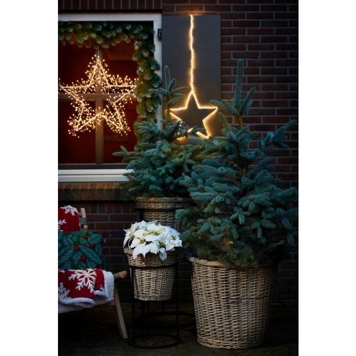 Colorado granguirlande 180 cm lang