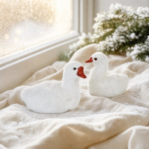 White swan