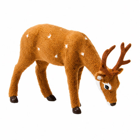 Male fallow deer