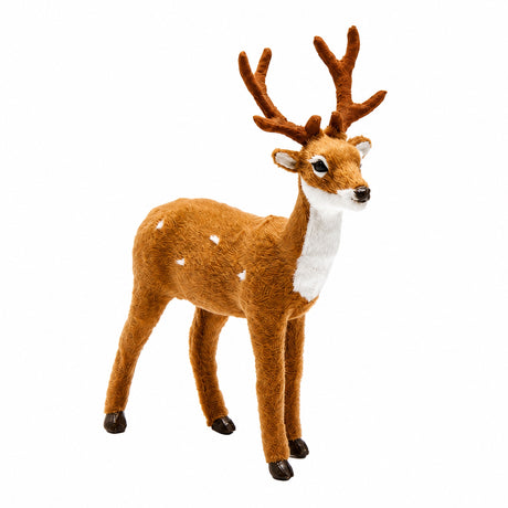 Male fallow deer