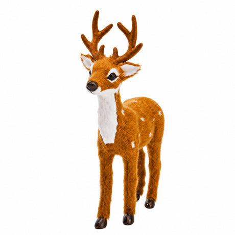 Fallow deer