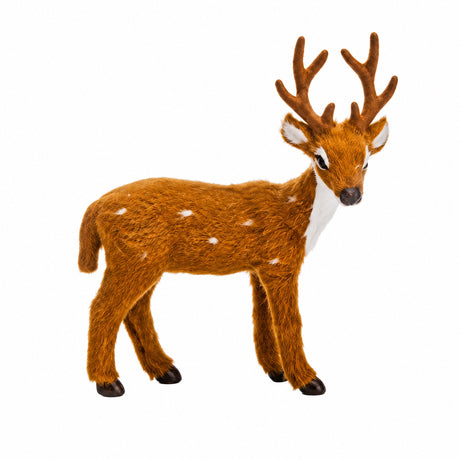 Fallow deer