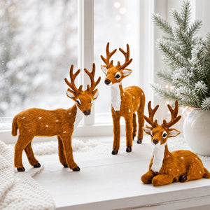 Fallow deer