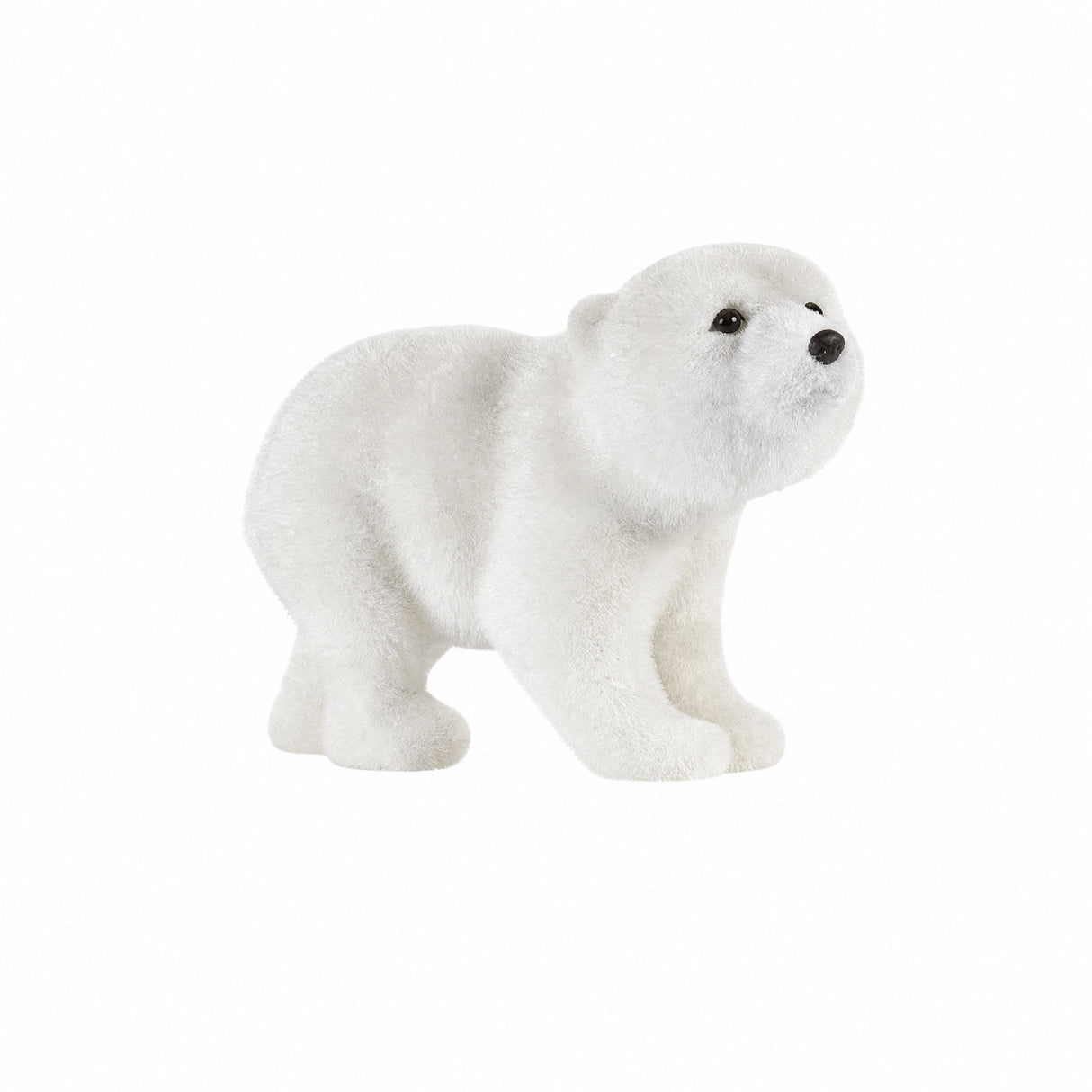 Polar bear
