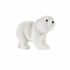 Polar bear