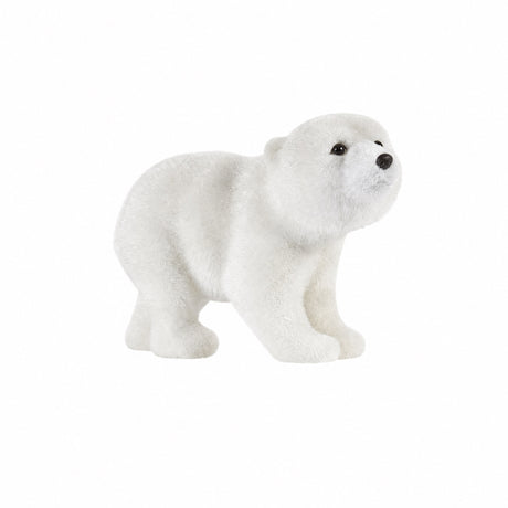 Polar bear