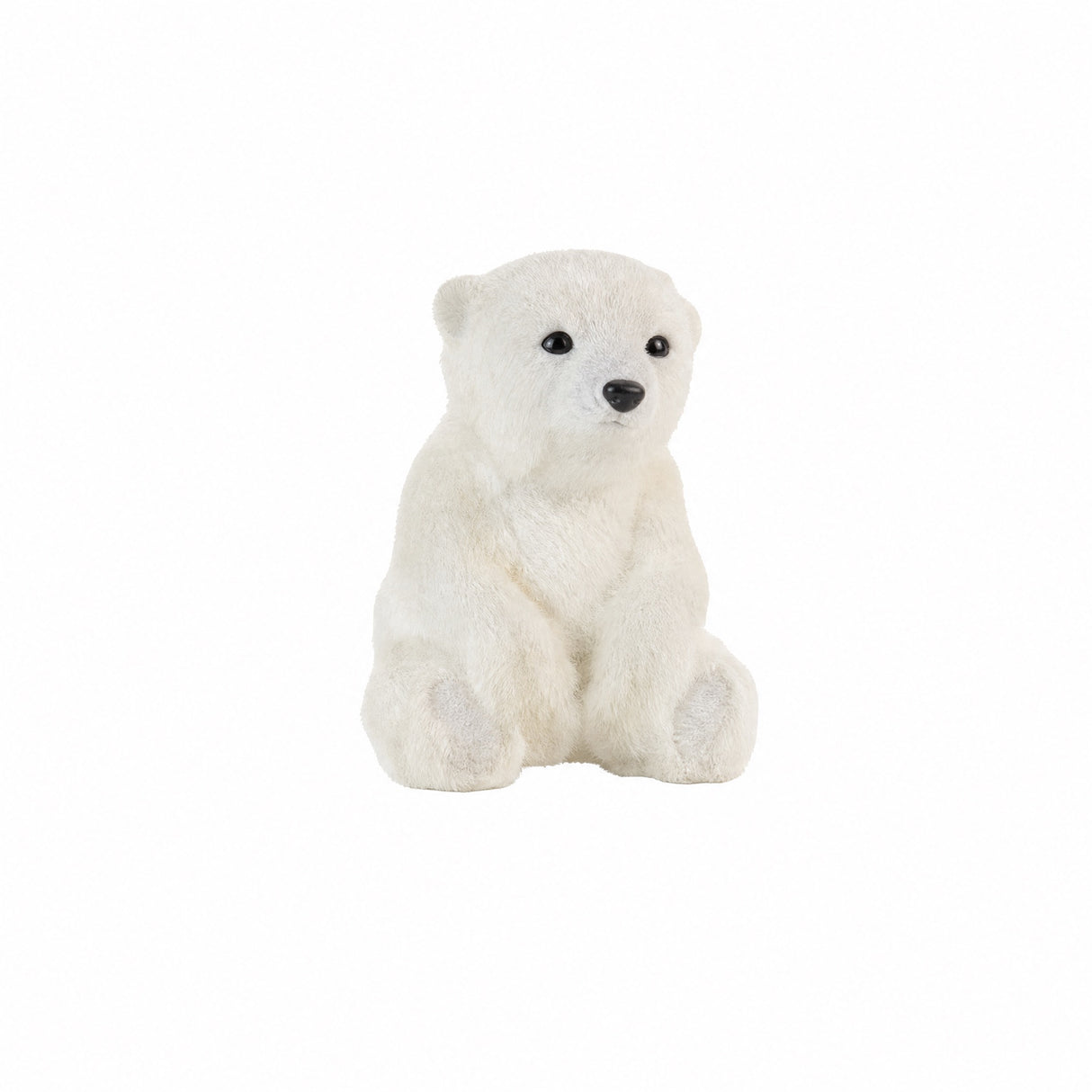 Polar bear