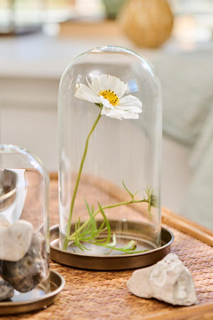 Lysbakke med kant med blomst og glasklokke over