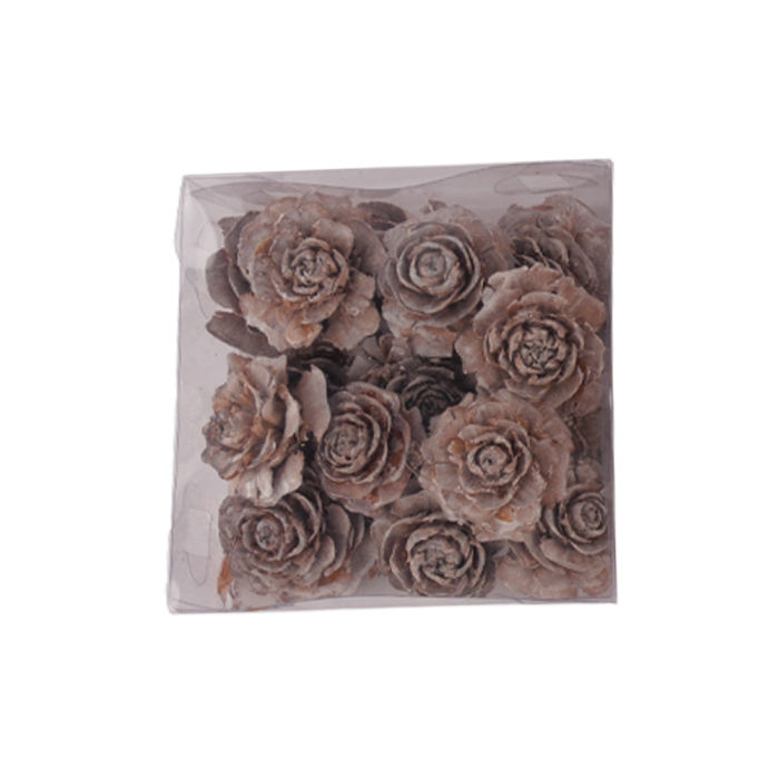 Kogleroser cedertræ med wire til dekorationer i frostet look