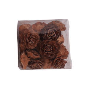 Kogleroser cedertræ med wire til dekorationer i natur