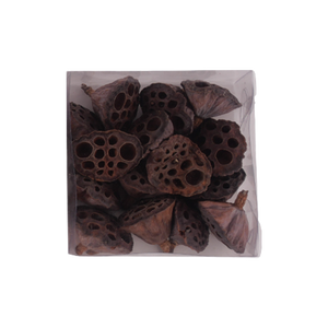 Lotusskaller til dekorationsbrug