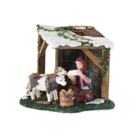 Luville Fodring af kalve