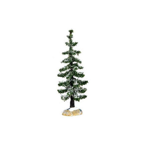Blue Spruce Tree - Small