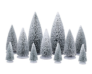 White Pine Trees 11-pak