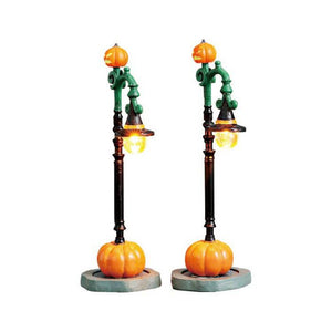 Witch Pumpkin Patch