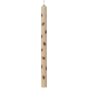 Candles with brown pine cones, 5-pack from Ib Laursen