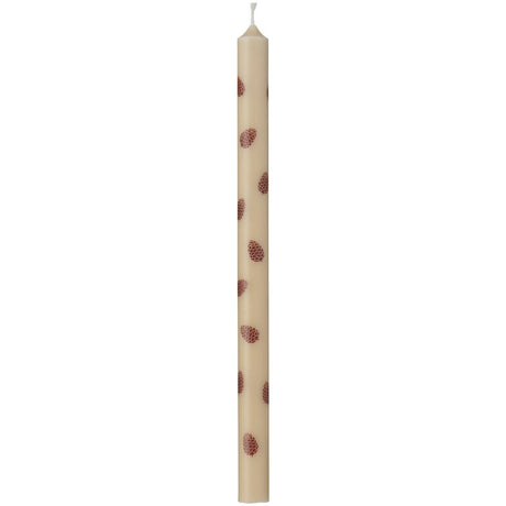 Candles with brown pine cones, 5-pack from Ib Laursen