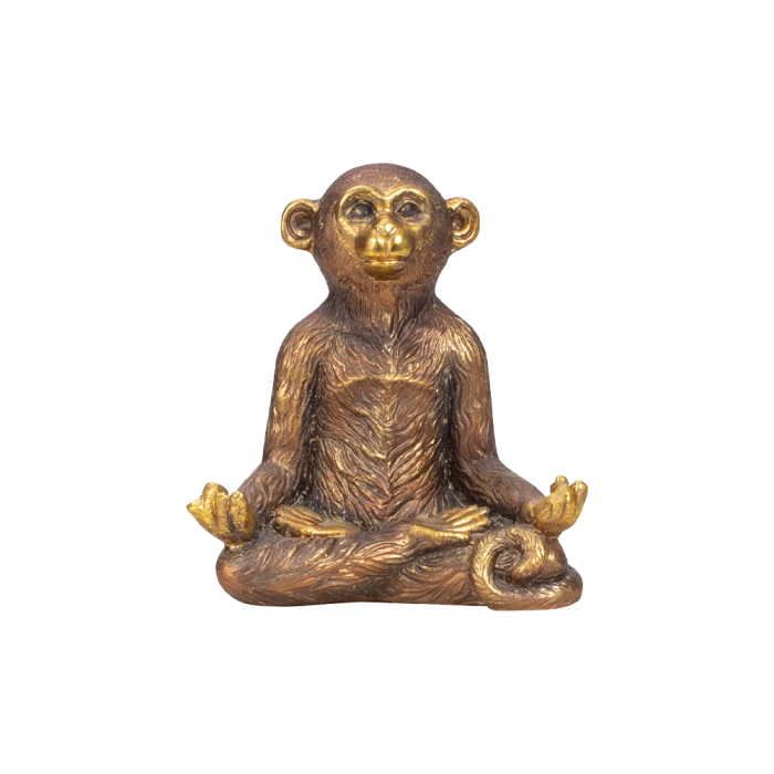 Abe dyrker yoga 24 cm høj