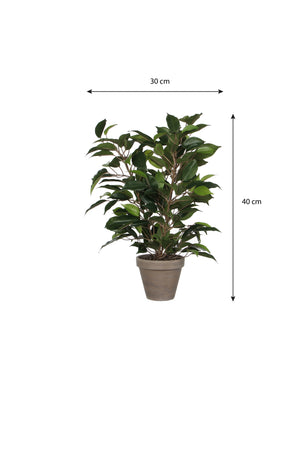 Ficus Natasja plante kunstig fra Mica Decorations med mål på
