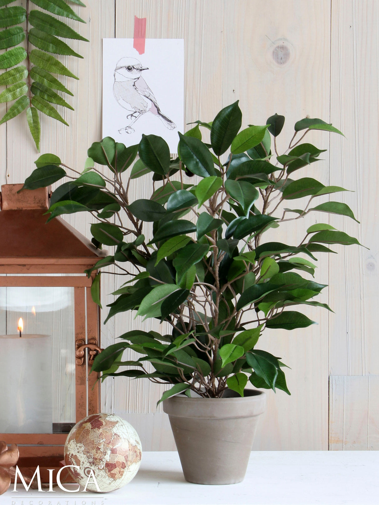 Ficus Natasja plante kunstig stående sammen med lanterne
