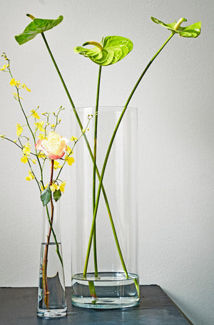 To glasvaser med blomster i