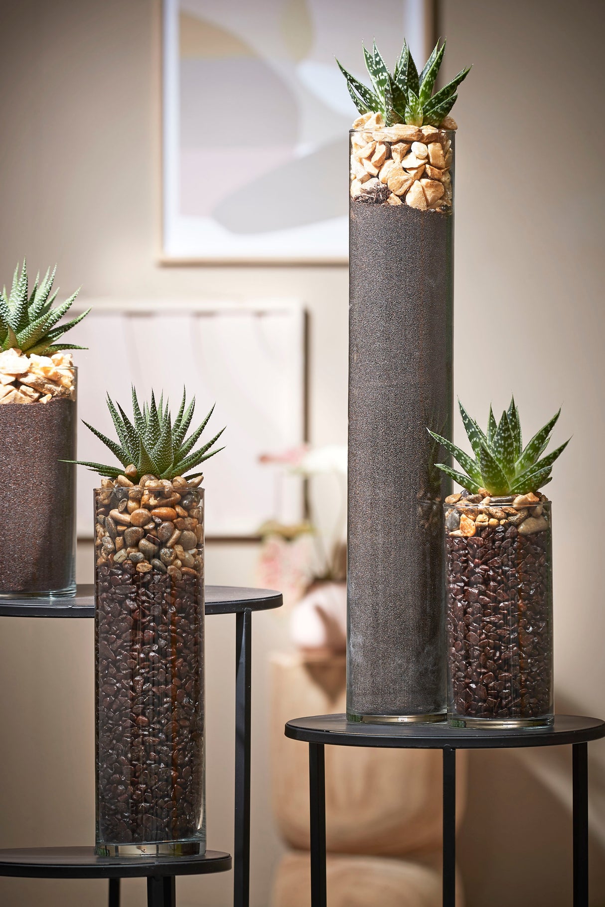 Cylinder glas vaser fyldt op med dekorationssten og grønne planter