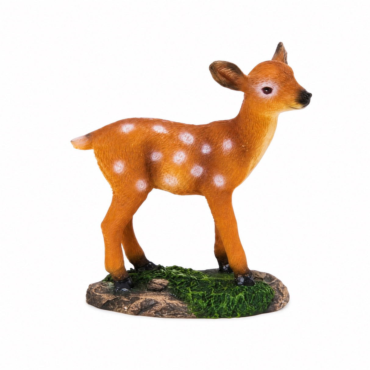 Fallow deer
