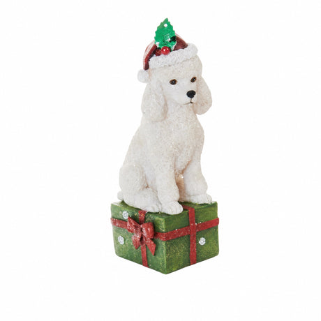 Dog or cat with gift