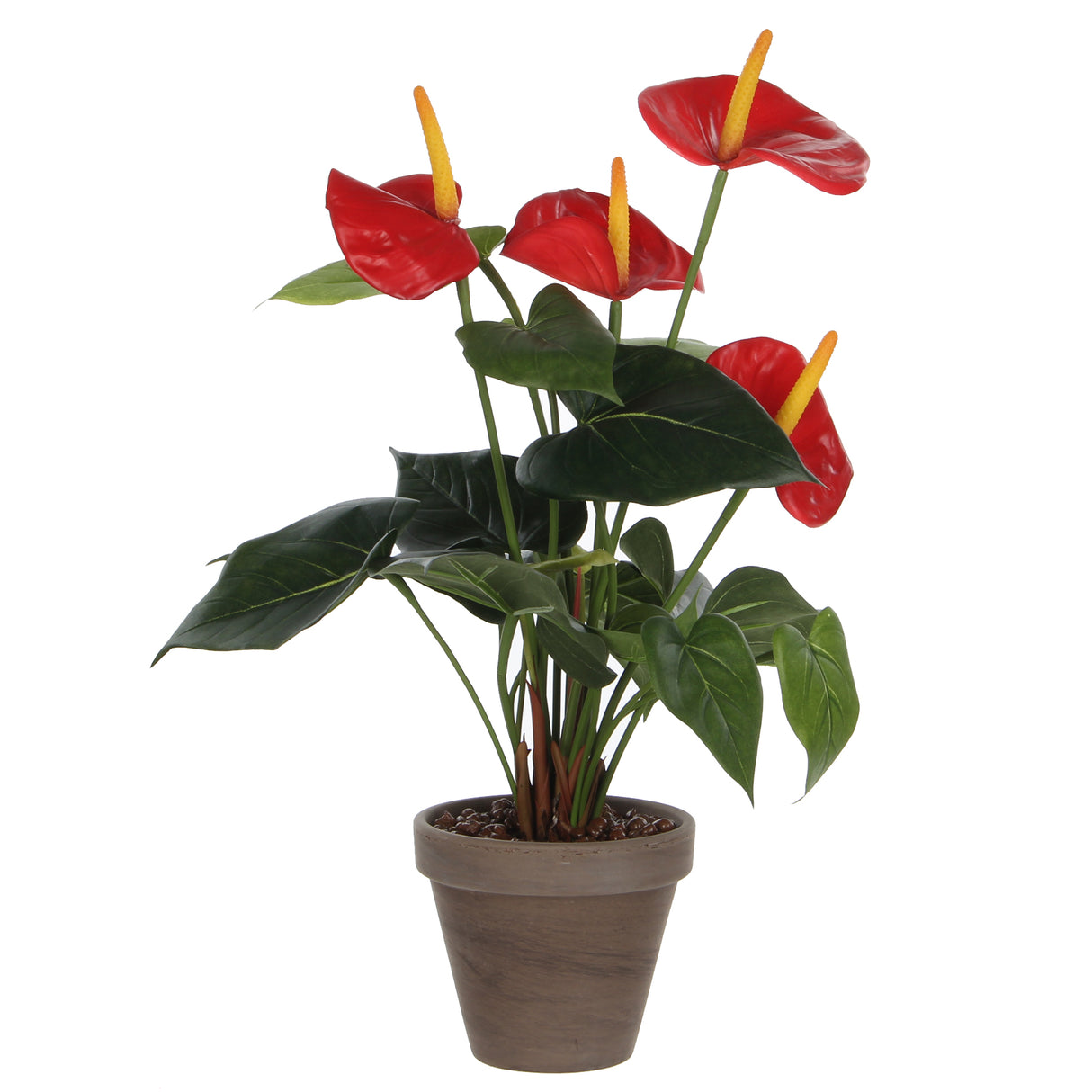 Kunstig Anthurium flamingoblomst rød 40 cm høj i grå lerpotte