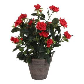 Rose rød fyldig 33 cm høj.