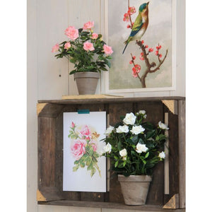 Rose hvid 33 cm høj