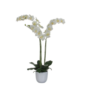 Kunstig Phalaenopsis orkidé hvid 100 cm høj i skjuler