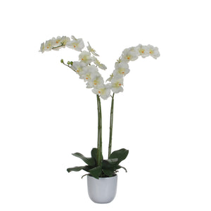 Kunstig Phalaenopsis orkidé hvid 100 cm høj i skjuler