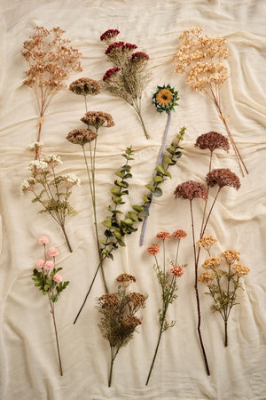 Forskellige grene og blomsterstilke fra Ib Laursens efterårskollektion