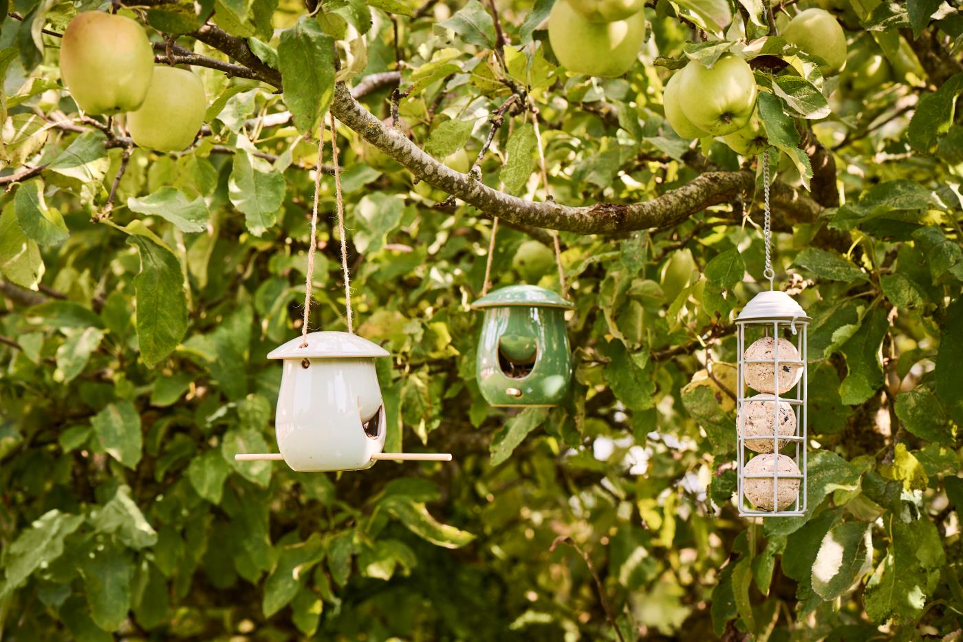 Foderhuse til fuglene i uderummet