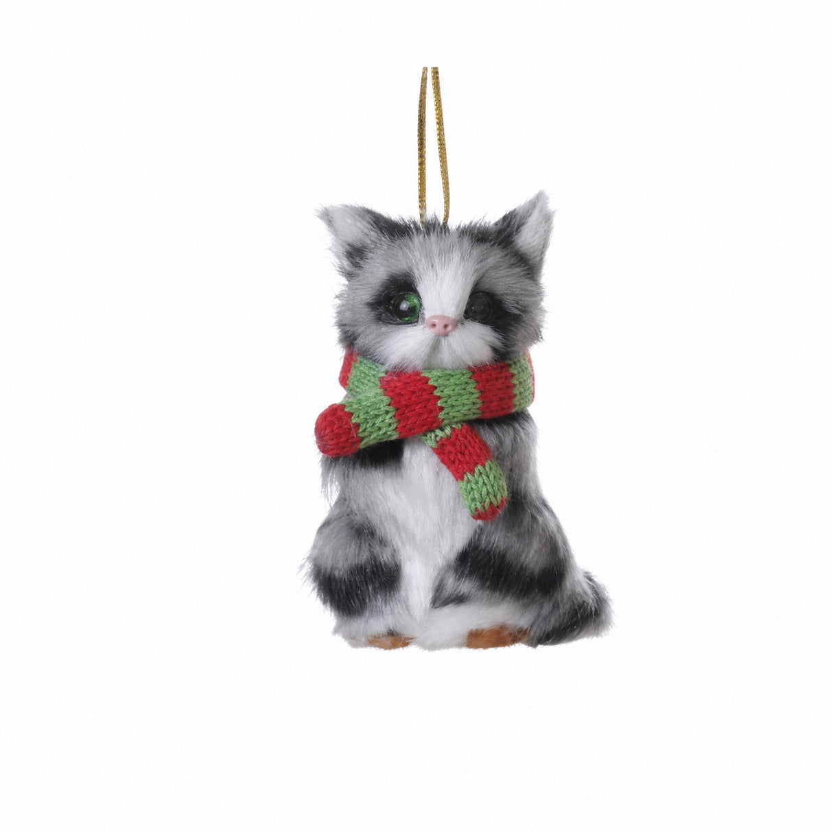 Cat with scarf