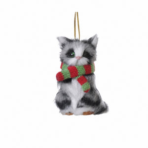 Cat with scarf