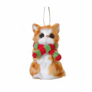 Cat with scarf